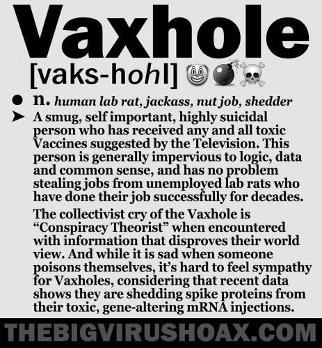 vaxhole