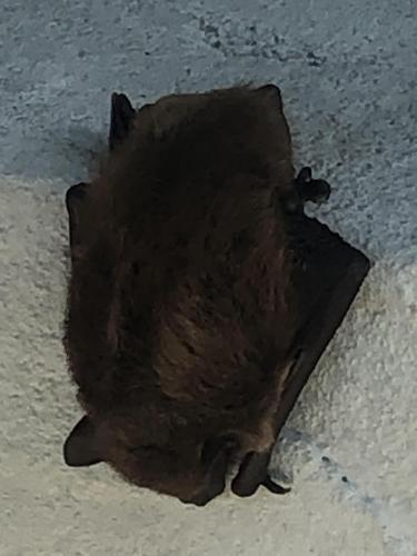 887148B2-458D-4CC0-B28E-AFA58EB49D4B