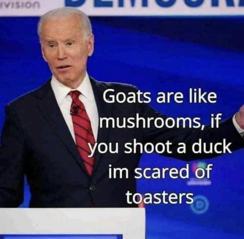 A2D3AA1A-2D6A-48C9-80B4-83B322958978