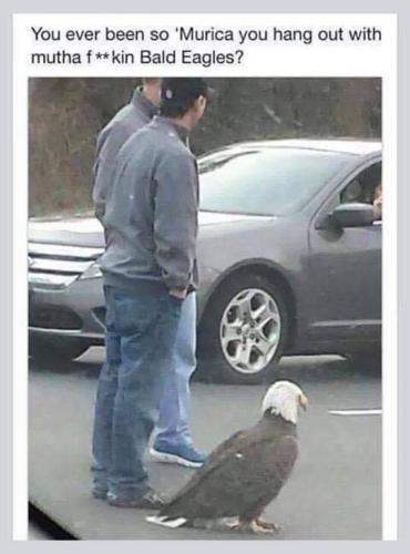 eaglehangout