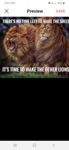 Screenshot_20210815-084343_CloutHub