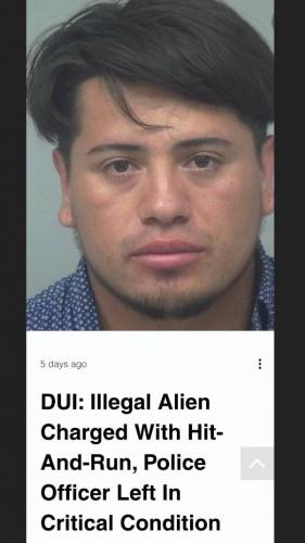 IllegalAlien4