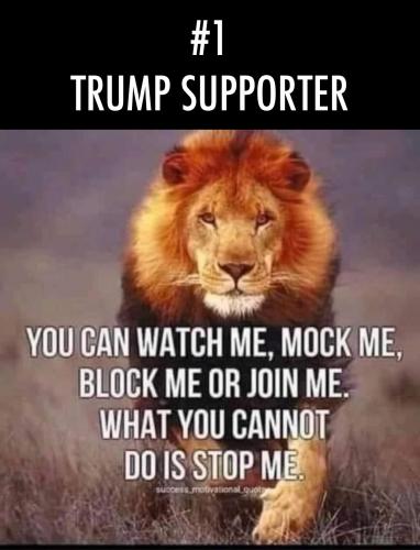 B6379929-6535-400A-9EFD-557E98CBC9C5