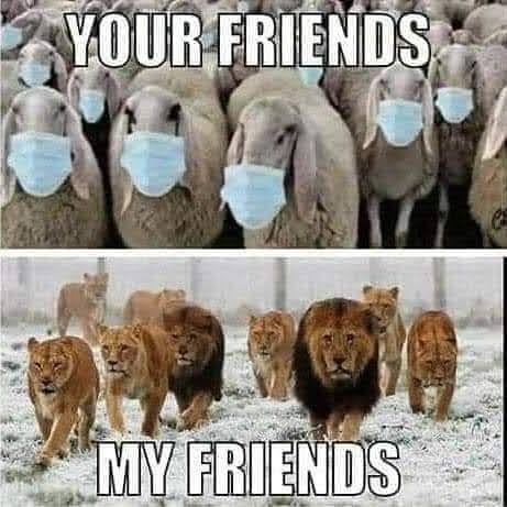 FB_IMG_1594703592893