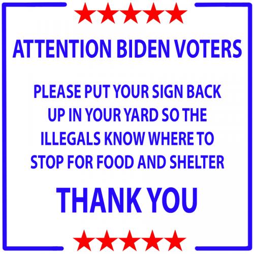 Biden voters