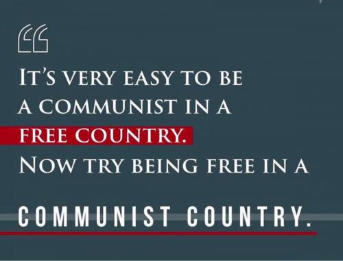 2D4992BA-F1F2-4889-B9E9-113DCB526C53