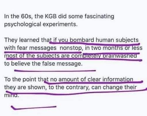 FB_IMG_1627439863948