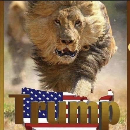 2CE2C6C7-D791-4EC9-8DCF-83F23D09EBEA