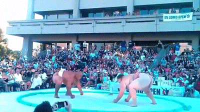 wrestle