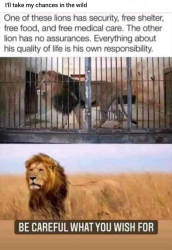 80A6CE54-39B9-4492-A76C-E31AFB057DD4