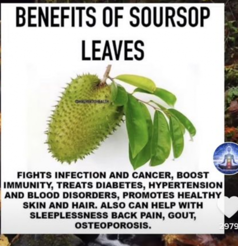 Screenshot_20210727-022818-333