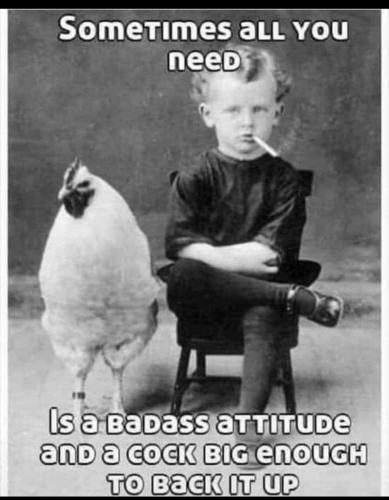 6BBEE2A9-0776-4940-9D36-AEE0209D51D6