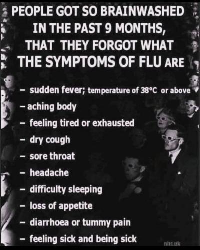 235354792_4429494860446394_3357334345410053559_n