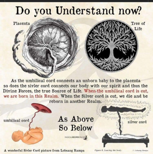 Screenshot_20210824-064914-378