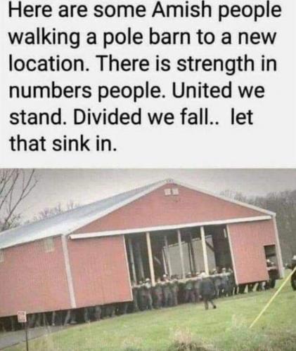 4BE50F7D-7AE4-4D2F-BCFD-26F41DD369FC