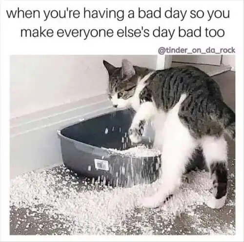 B5A08426-5F06-4154-87C1-C0876E7E7418