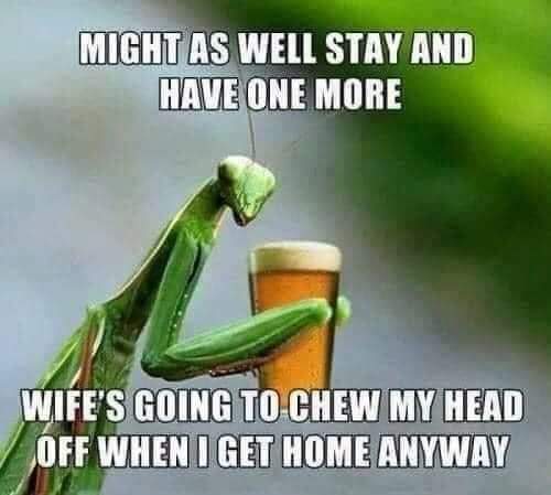 FB_IMG_1627793918364