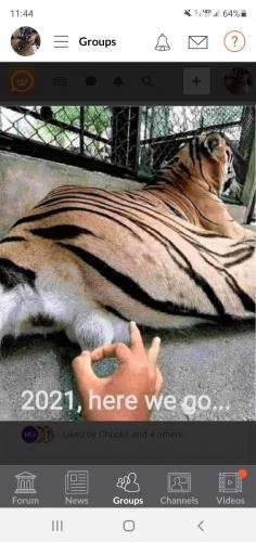 Screenshot_20210214-234416_clouthub