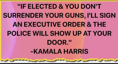 BidenKamalaGuns