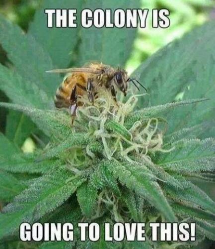 7FB02A63-571D-4BE8-B824-EABD881E920F