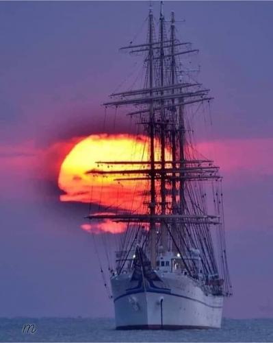 C454FF26-7E54-40CF-92B8-99C8A7862D65