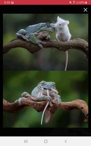 Screenshot_20210827-203846_Parler