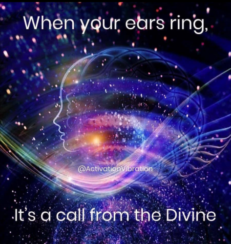 Screenshot_20210824-111411-009