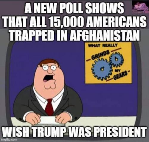 newpoll