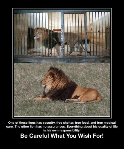 4903EB88-75E8-46CA-B466-DC37A6BFBA11