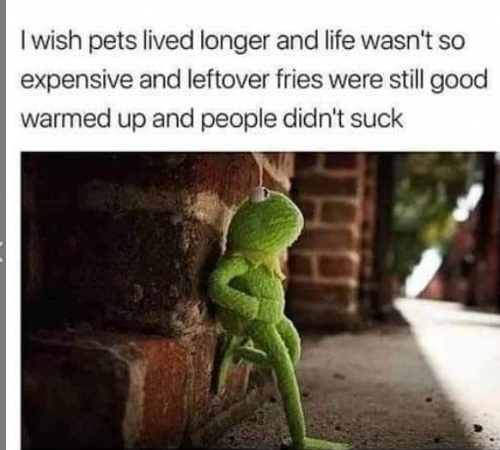 kermit