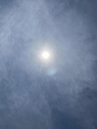 D99A9247-14AF-4050-85B9-66E8C9492D7D