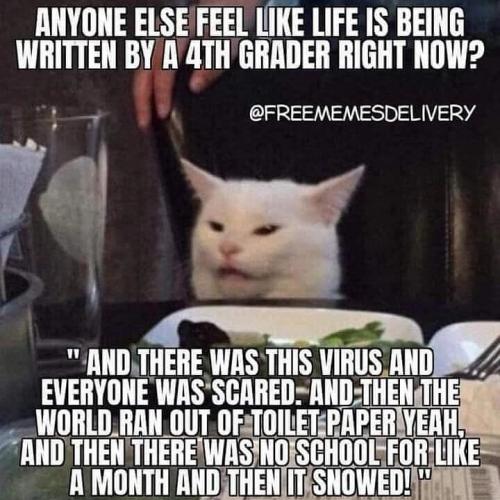 IMG_20210814_203122_515