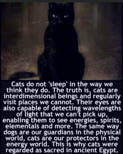 Screenshot_20210822-093019-221