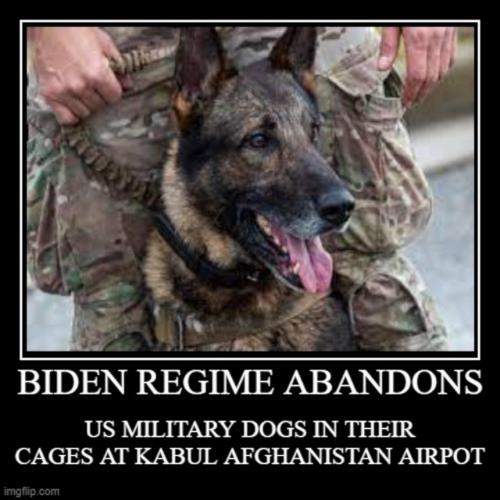 BIDENABONDONSMILITARYDOGS