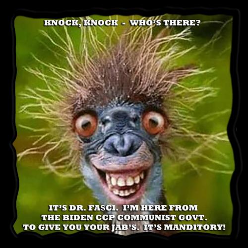 1-1-A-A-A-A-A-A-BIDEN-COMMUNIST-GOVT-3