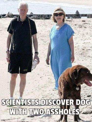 twoassholes