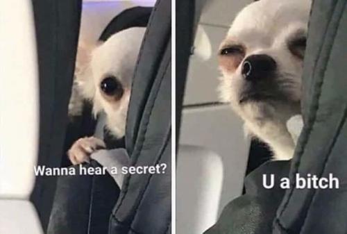 wanna hear a secret 21783796363561533