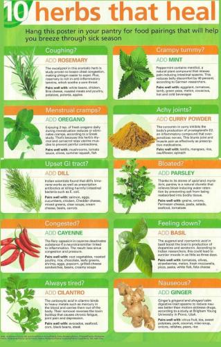 10 herbs that heal