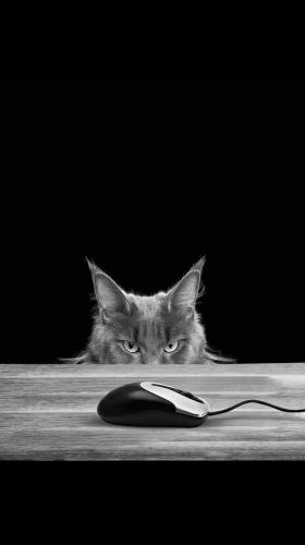 tumblr_454ed72d3590b002d6e267803a86a118_829739a7_1280