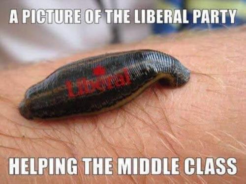 FB_IMG_1602059339716