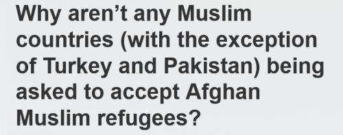 Movavi ScreenShot 016 - Why arenâ€™t any Muslim countries (with the exception of Turkey and Pa_ - barenakedislam.com