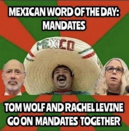 D4A3A315-4D0D-426E-81E8-314396A70BC9