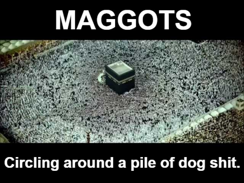 Maggots circling around a pile of dog shit