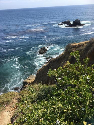 49C18EC7-9A8D-4093-8647-9F54FF925DEB