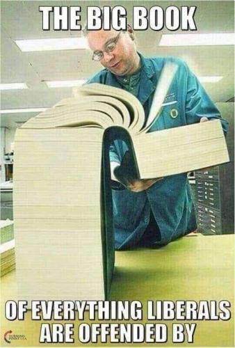 the big book