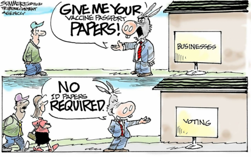 image_2021-08-06_041638