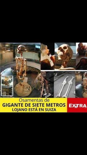 FB_IMG_1627406208500