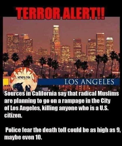 alert