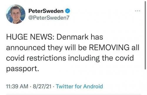 photo_2021-08-29_04-59-44