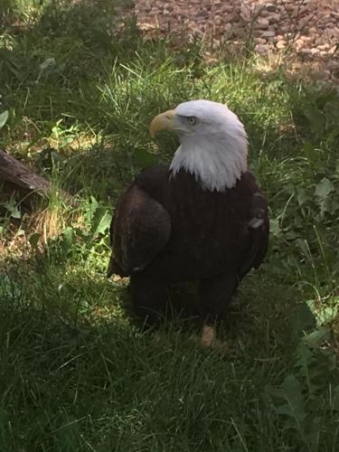 85BF8ADA-CCD4-4D94-AE45-5964D79AB47C